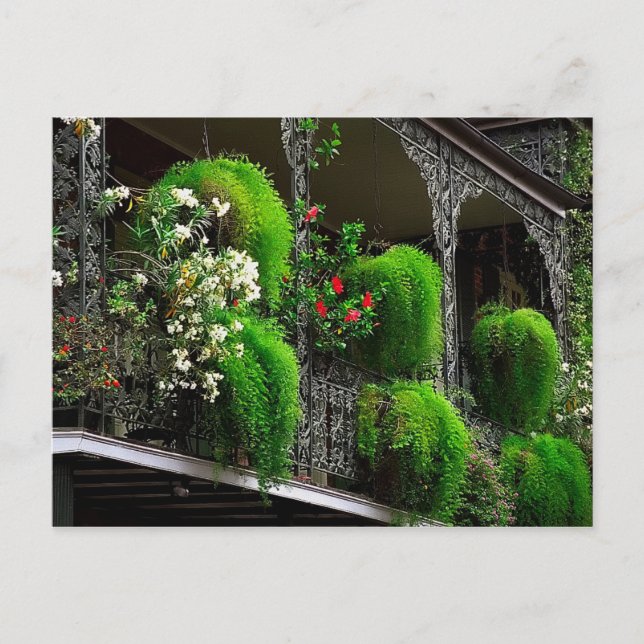 Carte postale Nouvelle-Orléans - Quartier français (Devant)