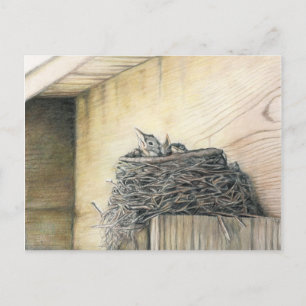 Carte Postale Nouvelle vie sous les Robins de pont Nest Art cart