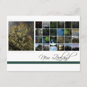 Carte Postale Nouvelle-Zélande