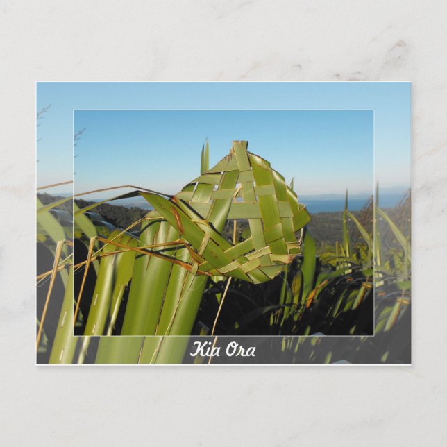 Carte Postale Nouvelle-Zélande Flax (Devant)