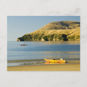 Carte Postale Nouvelle-Zélande, île du Sud, Marlborough Sounds.