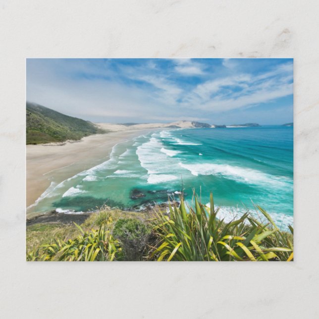 Carte Postale Nouvelle-Zélande, North Island, Cap Reinga 2 (Devant)