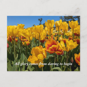 Carte Postale Nouvelles Débuts Tulipes Jaunes de Printemps Fleur