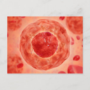 Carte Postale Noyau Cellulaire Avec Chromosome 2