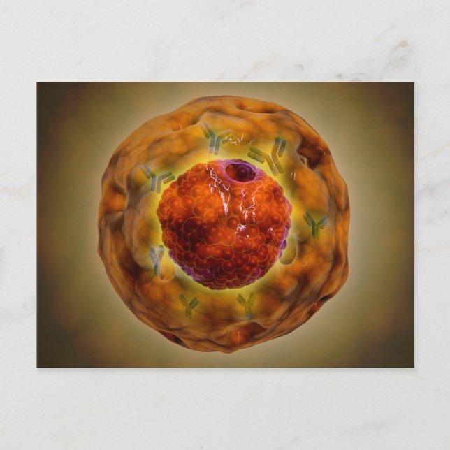 Carte Postale Noyau Cellulaire Avec Chromosome 3 (Devant)