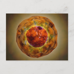 Carte Postale Noyau Cellulaire Avec Chromosome 3