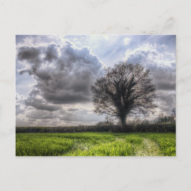 Carte Postale Nuages de pluie au printemps HDR (Devant)