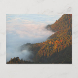 Carte Postale Nuages matinaux Pieniny