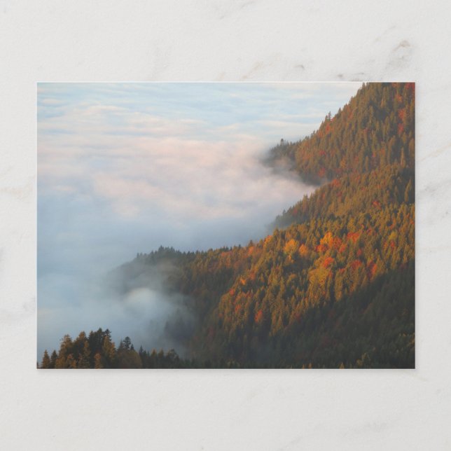 Carte Postale Nuages matinaux Pieniny (Devant)