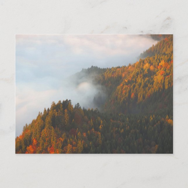 Carte Postale Nuages Pieniny d'automne (Devant)