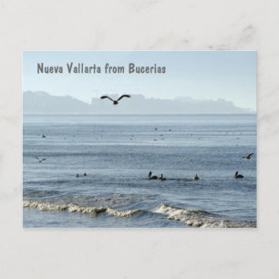 Carte Postale Nueva Vallarta de Bucerias