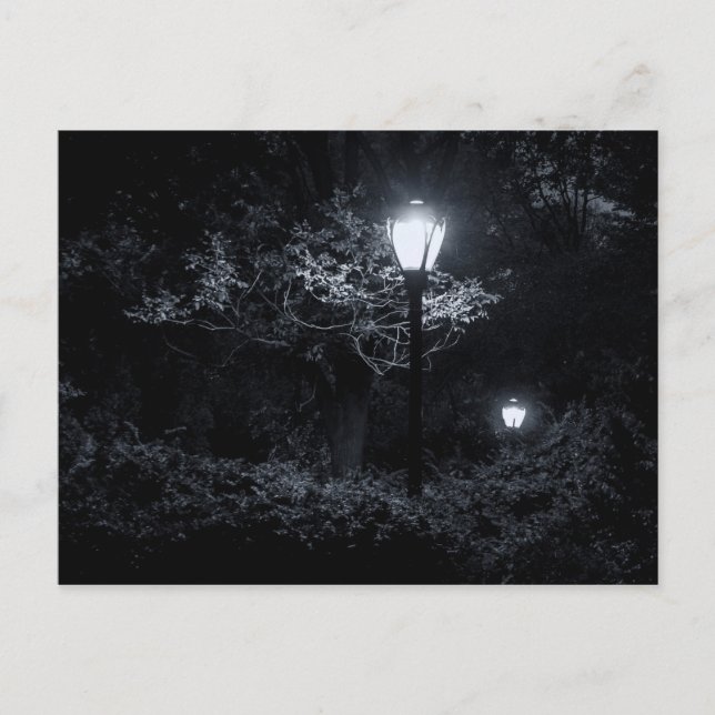 Carte Postale Nuit à Central Park, NYC (Devant)