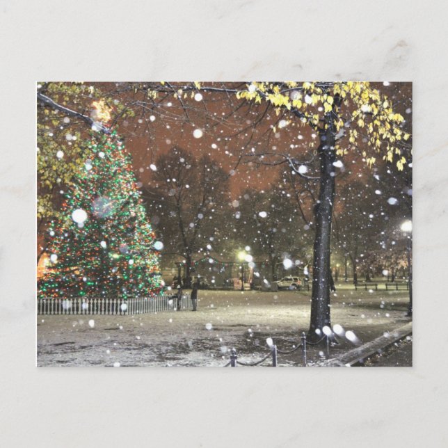 Carte Postale Nuit de neige dans le centre-ville de Boston (Devant)