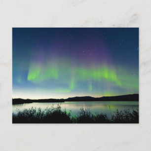 Carte Postale Nuit d'été Lumières du Nord au-dessus du lac Laber