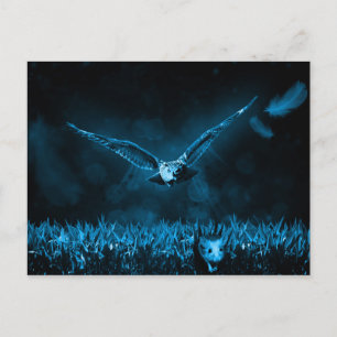 Carte Postale Nuit d'Imaginaire de Owl Hunt