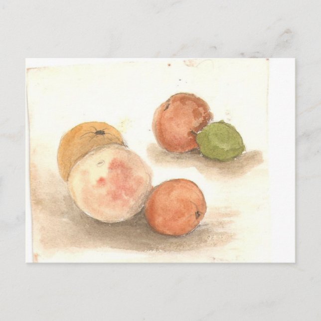 Carte Postale nuit du klassie iguana (Devant)