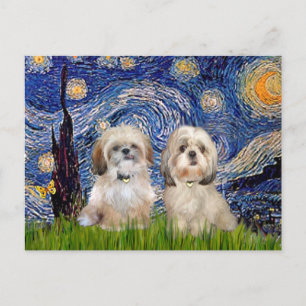 Carte Postale Nuit étoilée - 2 Sihih Tzus (P+Y)