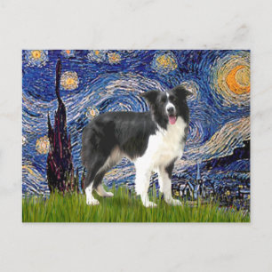Carte Postale Nuit étoilée - Border Collie (Z)