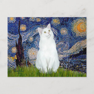 Carte Postale Nuit étoilée - Chat blanc