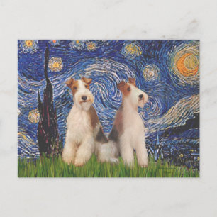 Carte Postale Nuit étoilée - Deux terriers de Fox à poil dur