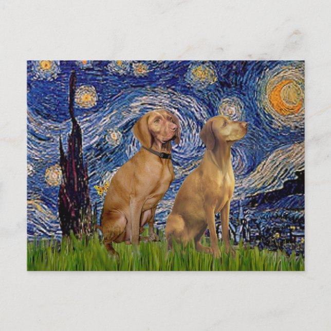 Carte Postale Nuit étoilée - Deux Vizslas (Devant)