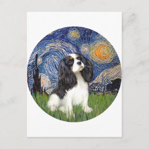Carte Postale Nuit étoilée - Tri Cavalier #5