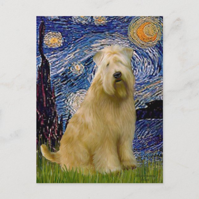 Carte Postale Nuit étoilée (V) - Terrier battu (Devant)