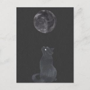 Carte Postale Nuit noire Mysical Lune chat