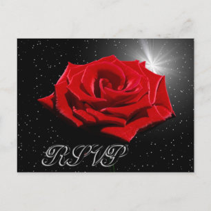 Carte Postale Nuit romantique étoilée