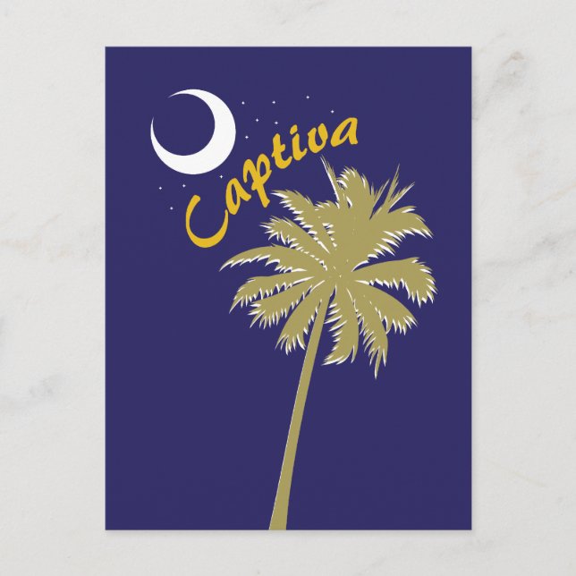 Carte Postale Nuit sur l'île de Captiva (Devant)