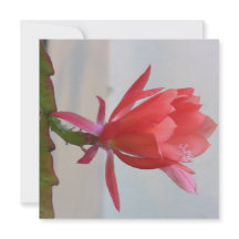 Carte postale numérique