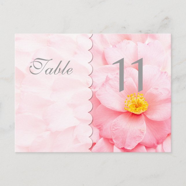 Carte postale Numéro de table de décomposition (Devant)