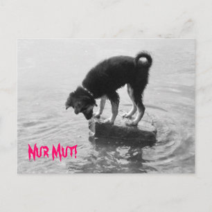 Carte Postale Nur Mut !