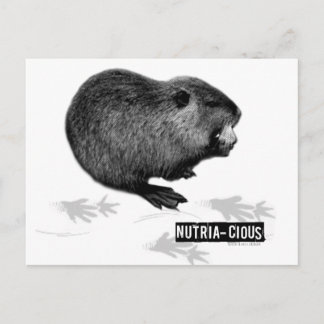 Carte postale Nutritive Nutritive