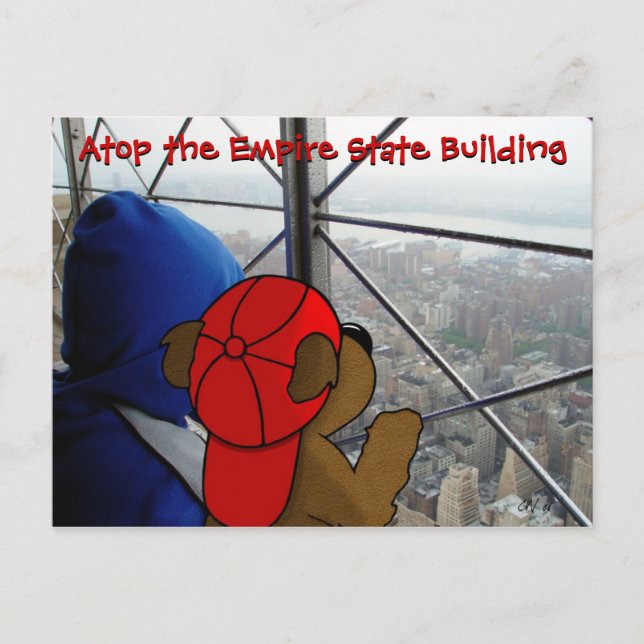 Carte postale NY 'Bear's Dizzying View' (Devant)