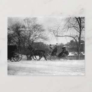 Carte postale NYC pour Cheval traîné