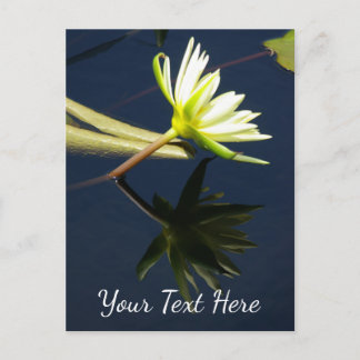Carte Postale Nymphéa Lotus Blanc