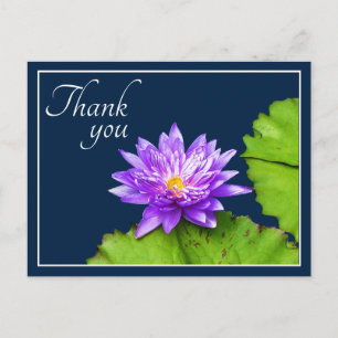Carte Postale Nymphéa Pourpre Et Feuille Sur L'eau Bleue Merci