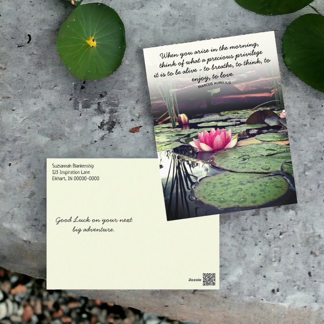 Carte Postale Nymphéa rose et feuilles de nénuphars Photo person (Both sides of water lily photo postcard. Keep, change or remove the template text. )