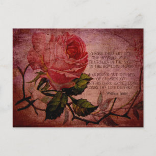Carte Postale O Rose Tu es malade