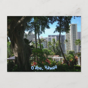 Carte postale O'ahu, Hawaii