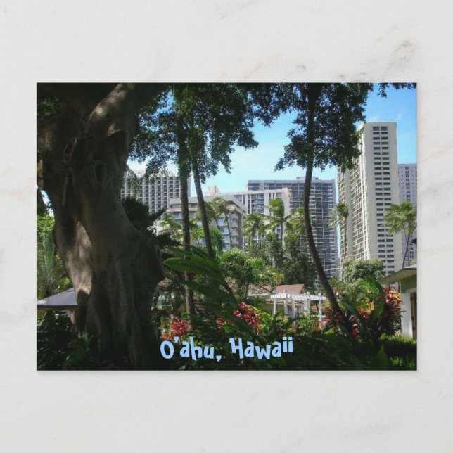 Carte postale O'ahu, Hawaii (Devant)