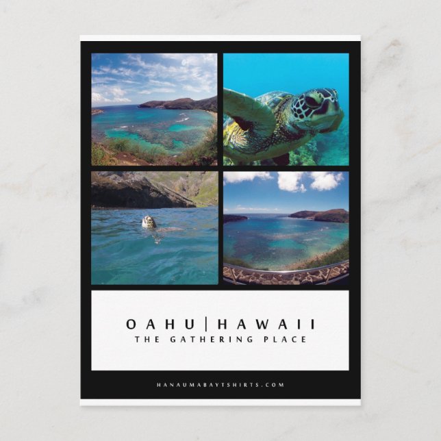 Carte postale Oahu Hawaii Hanauma Bay (Devant)