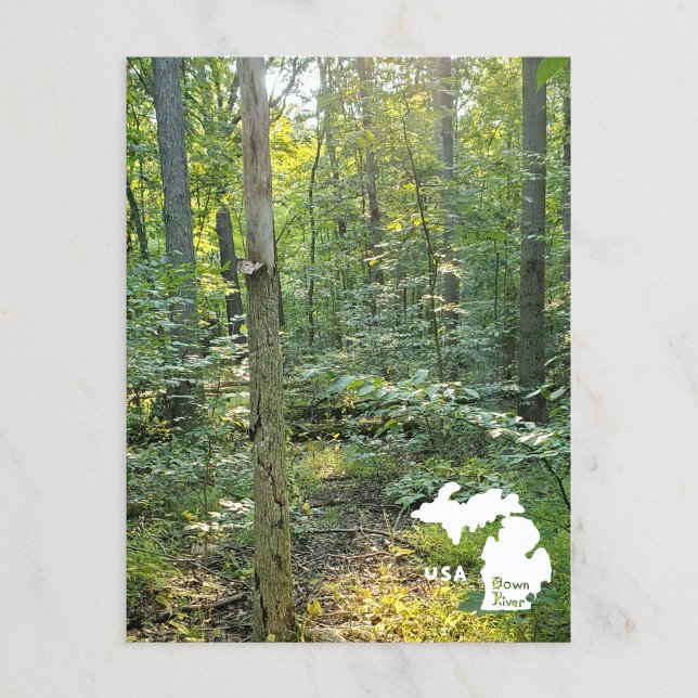 Carte Postale Oakwoods Metropark Trail Forêt d'été avec logo (Créateur téléchargé)