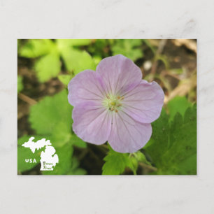 Carte Postale Oakwoods Metropark Wild Geranium avec logo