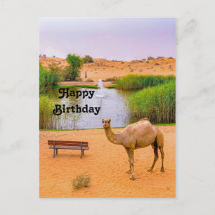 Carte Postale Oasis de chameaux Photo Anniversaire faune