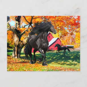 Carte Postale "Oberon En Automne"