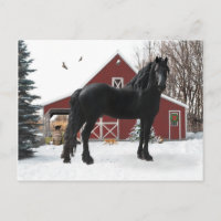 Carte postale "Oberon en hiver"