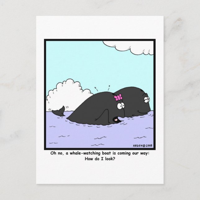 Carte Postale Observation des baleines : Cartoon de baleines (Devant)