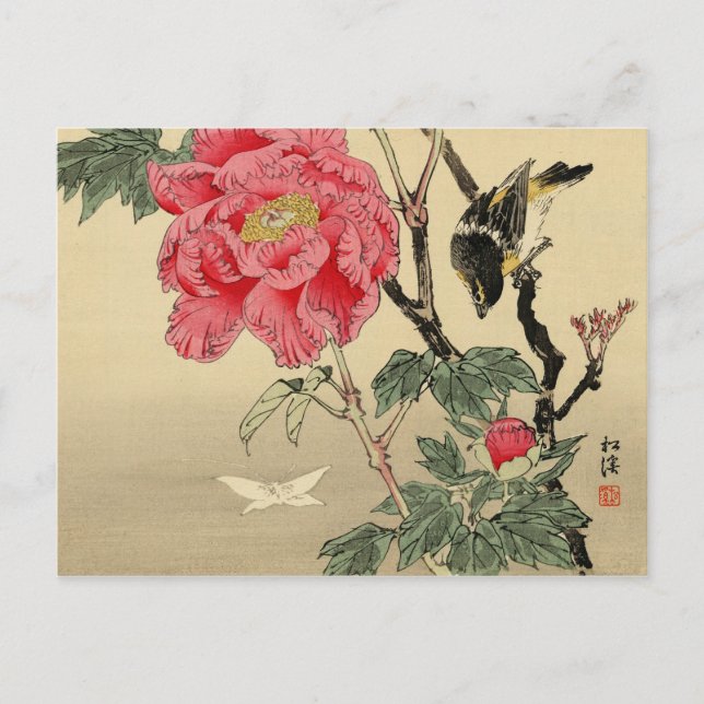 Carte Postale Observation d'un papillon par un oiseau (Devant)